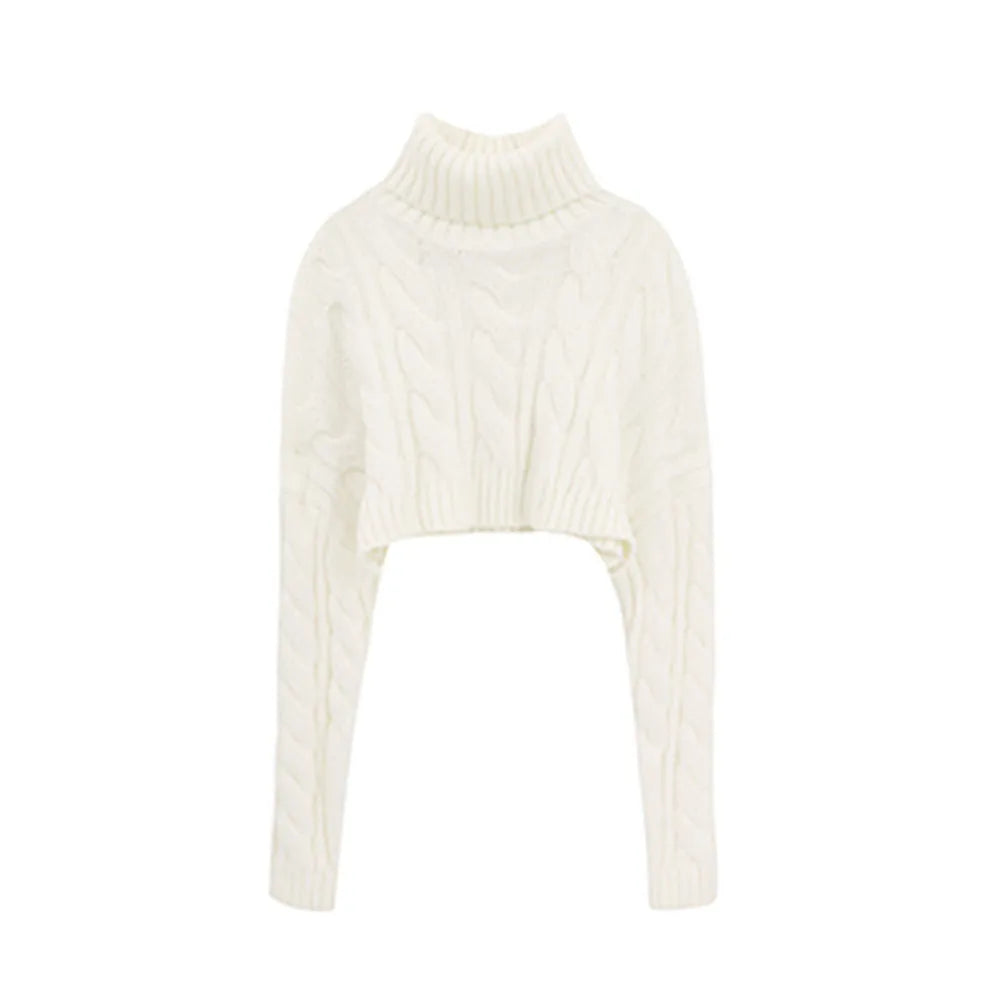 Women's Turtleneck Sweater