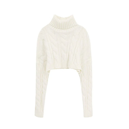 Women's Turtleneck Sweater