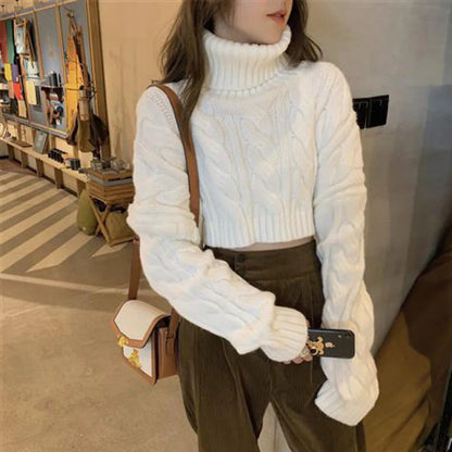 Women's Turtleneck Sweater